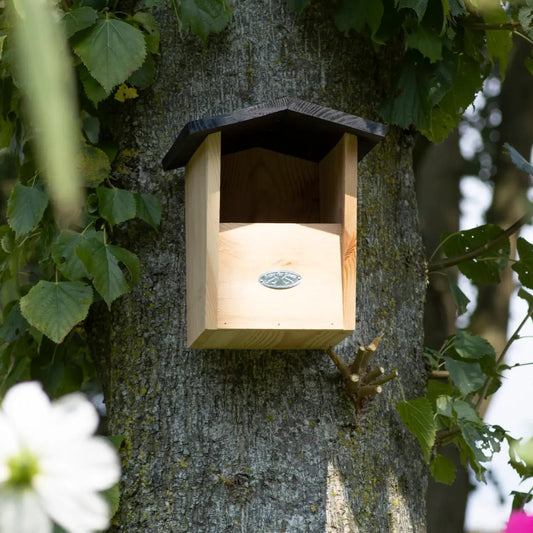 Gepersonaliseerd Nestkast | Roodborst - Creating adventure