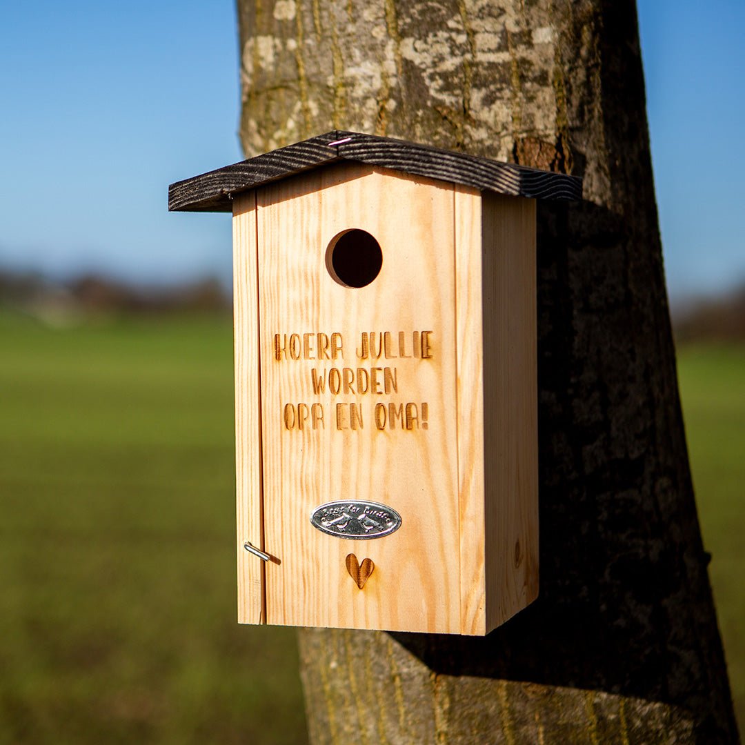 Gepersonaliseerd Nestkast | Roodborst - Creating adventure