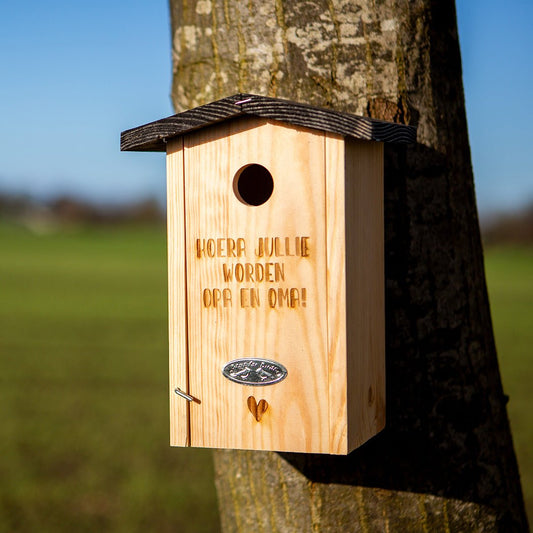 Gepersonaliseerd Nestkast | Roodborst - Creating adventure