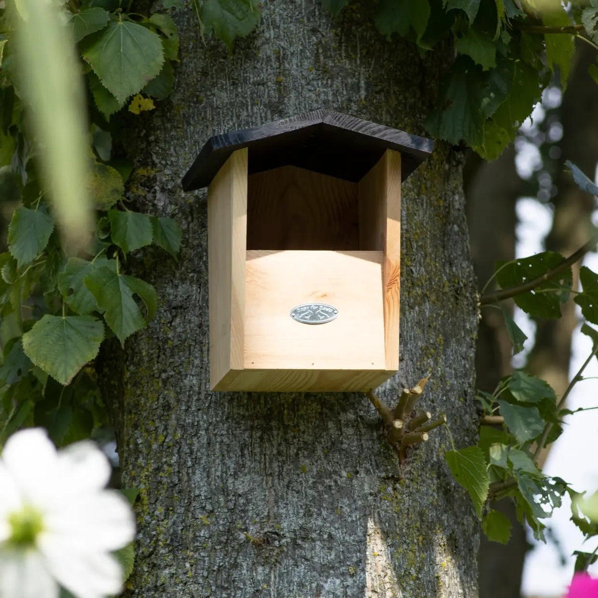 Gepersonaliseerd Nestkast | Roodborst - Creating adventure