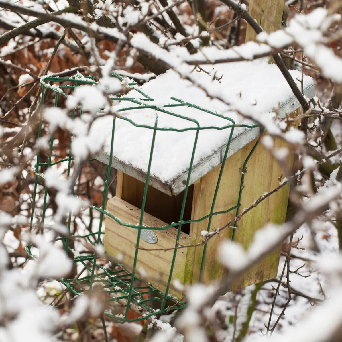 Houten roodborst nestkast voor in de tuin